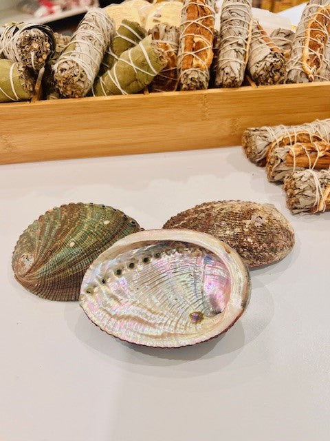 Abalone Shell Smudge Bowls